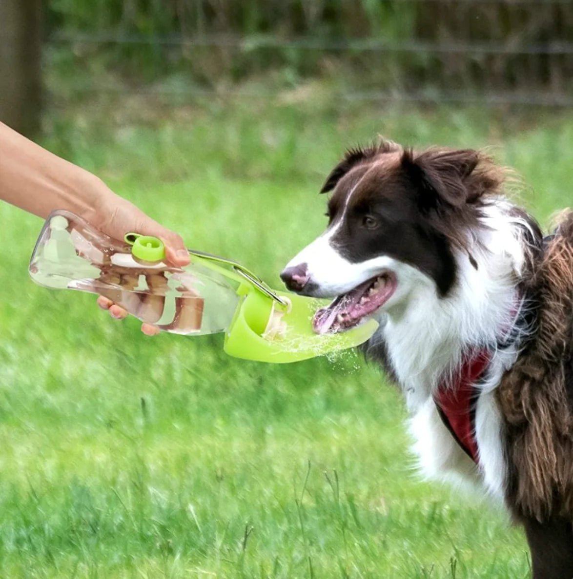 Portable Pet Water Bottle - Leaf shape