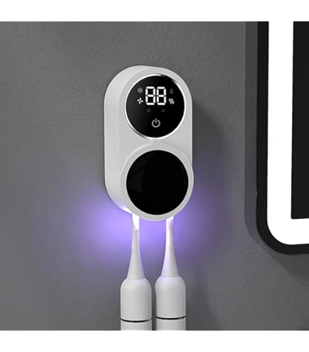 Tooth Brush Holder Sanitizer