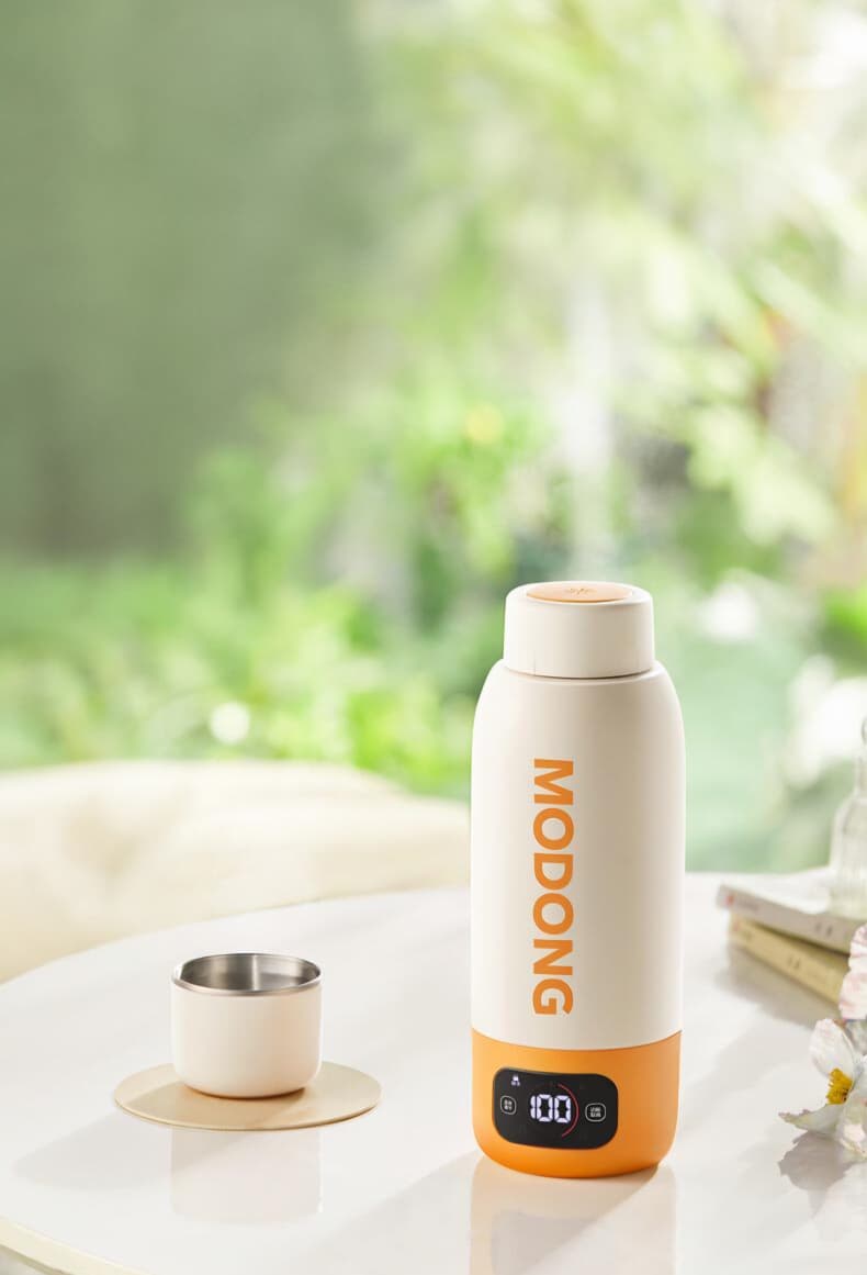 110V/220V Electric Heating Water Cup