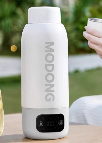 110V/220V Electric Heating Water Cup